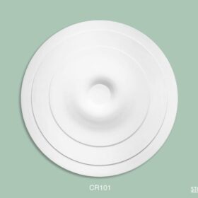CR101