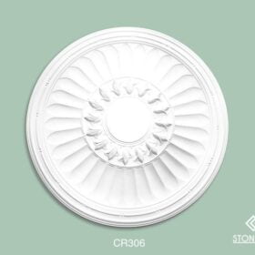 CR306