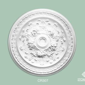 CR307