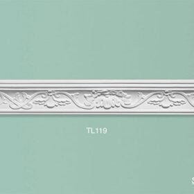 TL119