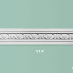 TL120