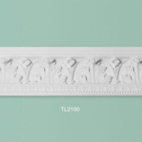TL2100