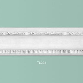 TL221