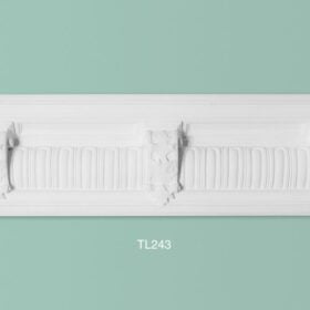 TL243