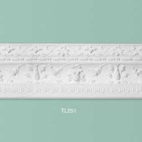 TL251