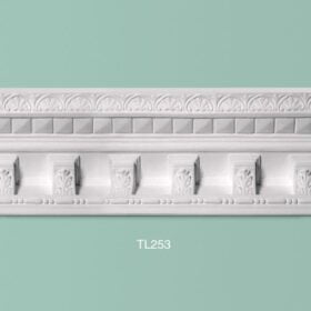 TL253