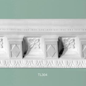 TL304